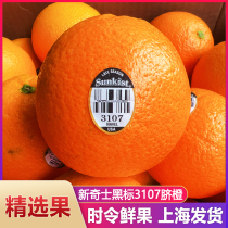 新奇士橙美国进口黑标3107脐橙新鲜水果甜橙10个大果孕妇水果包邮