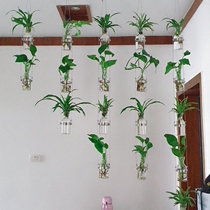 创意轻奢玻璃水培花瓶绿植隔断家居幼儿园植物风铃墙上装饰品挂件