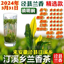 泾县兰香精选款2024年新茶清明前茶叶宣城汀溪兰香型春茶绿茶包邮