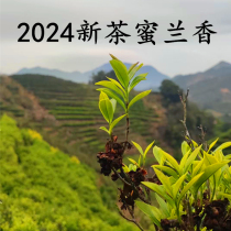 2024新茶蜜兰香茶虎雪春凤凰单丛茶潮州特产清香型乌龙茶叶单枞茶
