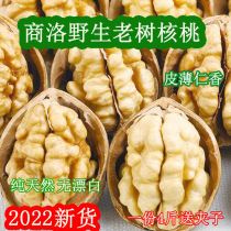 陕西商洛山阳特产2023新野生老树核桃无漂洗薄皮孕妇学生坚果零食