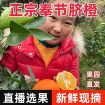 【直播选果】重庆奉节脐橙新鲜现摘孕妇应季水果甜带叶现摘5斤10