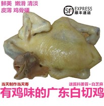 【有鸡味的白切鸡】150天广东新会有鸡味白切鸡熟食约2斤可寄香港