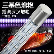 鱼缸灯LED灯照明灯防水水族箱罗汉红龙鹦鹉鱼专用灯三基色增艳灯