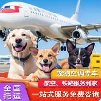 宠物托运服务猫狗活体全国国际运输广州深圳北京上海空运火车专车