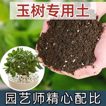 玉树专用土玉树专用营养土家用盆栽肥料专用肥养花通用土壤种植土