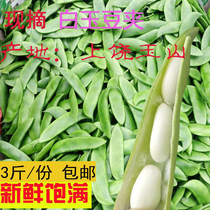 新鲜白玉豆上饶特产农家蔬菜带壳三清豆京豆夹芸豆花豆子3斤5斤
