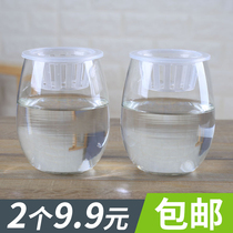 2个9.9元简约透明玻璃花瓶水培植物绿萝花瓶铜钱草花盆桌面插花瓶