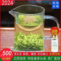日照绿茶2024新茶春茶散装特级浓香型云雾高山茶叶50g半斤送礼盒