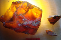 琥珀缅甸原生矿天然A货26克琥珀原石（3件）45