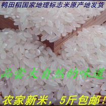 2023新米长粒米梅河口大米东北农家杂粮长粒香大米小包装5斤