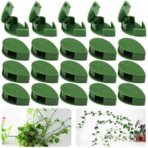 绿萝固定器叶型绿色植物隐形固定装置藤夹紧固件卡扣牵引整形钩