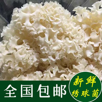 鲜绣球菌新鲜绣球菇非干货绣球菌菇花瓣菇1kg食用菌火锅煲汤食材