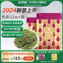 2024年新茶芳羽安吉白茶正宗雨前散装茶叶250g珍稀绿茶手工茶叶