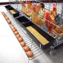 养鸡专用笼鸡笼子养殖笼田鸡笼家用大号养鸡铁鸡舍自动下蛋鸡笼网