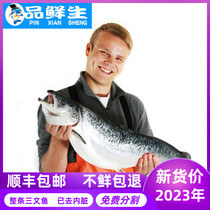 13-17斤1条智利进口冷冻三文鱼一整条新鲜即食生鱼片刺身海鲜包邮