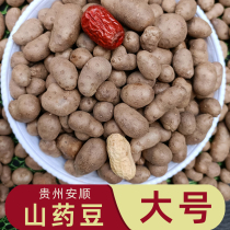 贵州安顺特产新鲜蔬菜山药豆蛋子大号零余薯山药果蒸煮炒烤炸当季