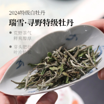 【2024春茶预售】深山行 福鼎白茶瑞雪寻野特级牡丹 管阳高山茶