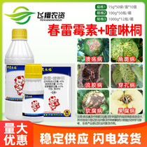 台湾兴农永福45%春雷霉素喹啉铜柑橘溃疡西瓜细菌性角斑病杀菌剂