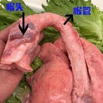 【高品质】新鲜猪肺生鲜带喉头全管食用现杀爆炒腌制风干炖汤