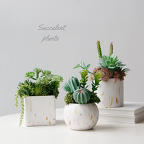 创意仿真可爱多肉植物盆栽带盆小绿植花卉客厅室内桌面装饰品摆件