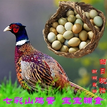 七彩山鸡蛋 正宗农家散养新鲜野金鸡蛋绿乌鸡蛋农家笨土鸡蛋60枚