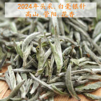 【管阳2024年】新茶福鼎高山明前白茶头采白毫银针芽散茶特级茶叶