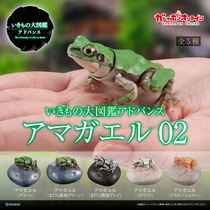 4月预售 万代 扭蛋 生物大图鉴 树蛙 2 青蛙 雨蛙 仿真 可动