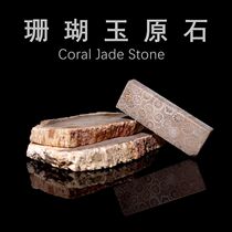 天然印尼珊瑚玉古生物化石菊花石原石切片地质科普教学标本摆件