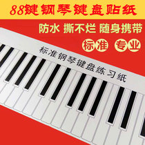 88键标准钢琴指法练习键盘贴手卷钢琴贴纸成人学生初学儿童钢琴贴