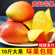 海南贵妃芒10斤芒果当季新鲜水果树上熟整箱热带红金龙大果芒5斤9