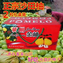 梅州梅县沙田柚农户直销冰糖柚送礼甜新鲜水果2粒礼盒装包邮