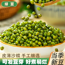 绿豆新货云南农家优质绿小豆新鲜发豆芽皮薄出沙煲粥煲汤糕点原料