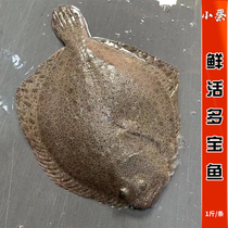鲜活多宝鱼野生海鲜水产深海新鲜活海鱼龙胆鱼石斑鱼青斑1斤/1条