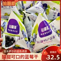 汕疆缘新疆蓝莓干原味蓝莓果干水果制品独立小包装休闲零食500g