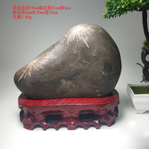 新中式奇石浏阳菊花石原石摆件观赏石家居装饰办公室桌面个性礼品