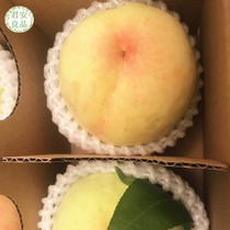 （预7月20日)上海南汇大团玉露水蜜桃  单果5.5两以上/12个礼盒装