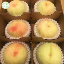 （预7月20日) 上海南汇大团玉露水蜜桃  单果5.5两以上/8个礼盒装
