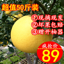 重庆特产梁平柚子老树多汁 新鲜柚子 农家水果平顶柚麻柚50斤包邮