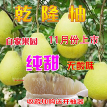 纯甜柚子广西特产正宗容县沙田柚柚子特级水果乾隆柚自家果园16斤