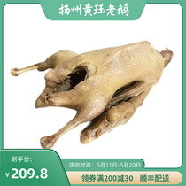 【4斤整只】扬州老鹅盐水鹅咸水鹅特产黄珏老鹅熟食鹅肉