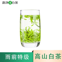 正安白茶 2023谷雨特级新茶绿茶贵州特产高山袋装春茶安吉白茶50g