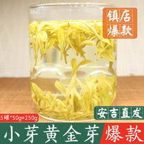 茶二叔【4号】正宗安吉2024年黄金芽250g年新茶白茶茶叶特级散装