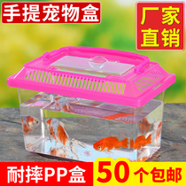 耐摔手提饲养盒金鱼乌龟缸小号运输塑料蝌蚪宠物盒透明带盖封闭式