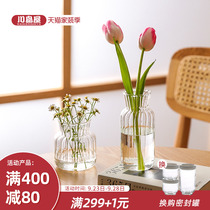 川岛屋玻璃小花瓶透明摆件客厅插花水养迷你桌面矮花器网红ins风