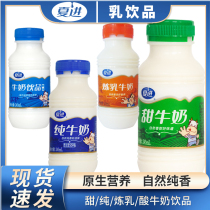夏进甜牛奶纯牛奶炼乳牛奶整箱15瓶装243ml早餐营养牛奶成长健康