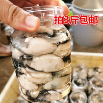 鲜活野生生蚝肉牡蛎肉新鲜水产海蛎烧烤蚝蚝烙海产品拍3斤包邮