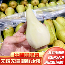 北京闪送 8斤比利时啤梨18-24粒果 无核无渣 新鲜水果礼盒装