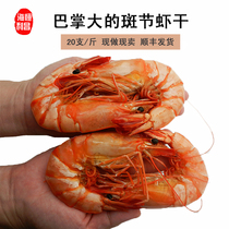 超大斑节虾干深海九节虾500克私人订制 即食煮汤湛江特产海鲜干货