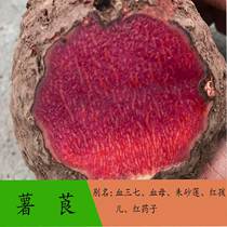 广西新鲜薯莨 血三七 血母 红药子 朱砂莲 现挖整个 500g